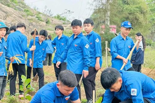 Tuổi trẻ Vĩnh Long, Hà Tĩnh làm sạch biển, trồng cây xanh