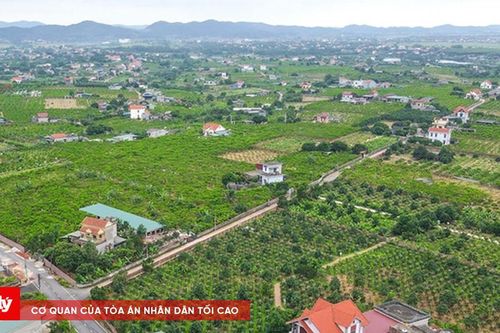 Đặt cọc mua đất đang thế chấp: Khi nào hợp đồng có hiệu lực, ai phải chịu mất cọc?