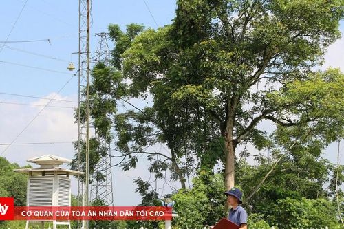 Từ dữ liệu thời tiết đến bảo vệ cuộc sống