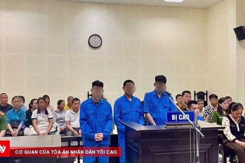 Tổ chức sử dụng ma túy tại bệnh viện