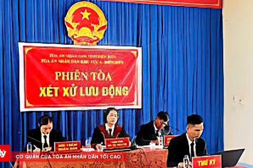 Xét xử lưu động 3 vụ án về ma túy