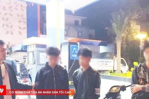 Khi 'phóng lợn' thay thế bút mực, phía trước chỉ còn là vực thẳm