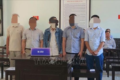 Tuyên án 5 bị cáo trong vụ tận thu rừng cháy gây thiệt hại hơn 5,5 tỷ đồng