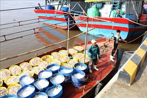 Ninh Bình cấm khai thác thủy sản có thời hạn tại một số xã ven biển