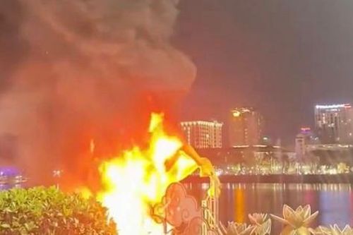 Linh vật ngựa ở Huế bốc cháy trong đêm: Đơn vị quản lý lên tiếng