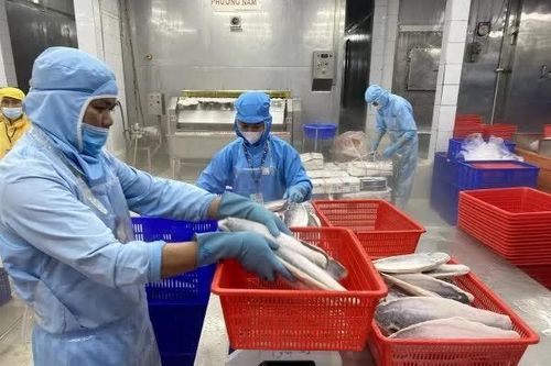 Thủy sản Việt khẳng định vị thế tại thị trường chiến lược EU