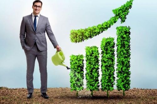 Giám đốc phát triển bền vững là gì? Vai trò chiến lược