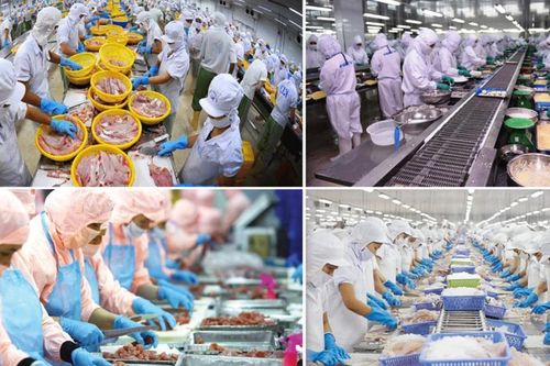 Thủy sản Việt Nam trước cơ hội tham gia sâu chuỗi cung ứng toàn cầu
