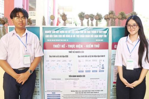 Học sinh An Giang đạt 4 giải tại Cuộc thi Nghiên cứu khoa học, kỹ thuật cấp quốc gia