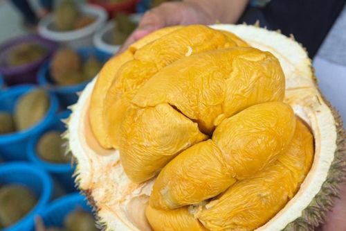 Mạng xã hội biến sầu riêng thành 'hộ chiếu' du lịch Malaysia