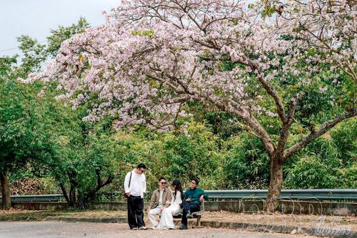 Khi du lịch được kể bằng cảm xúc số