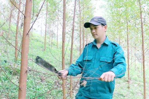 Quốc Khánh phát triển kinh tế rừng