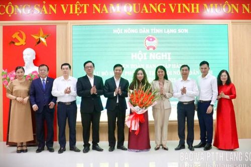 Bà Dương Thị Hoan giữ chức vụ Phó Chủ tịch Hội Nông dân tỉnh khóa XI nhiệm kỳ 2025 - 2030