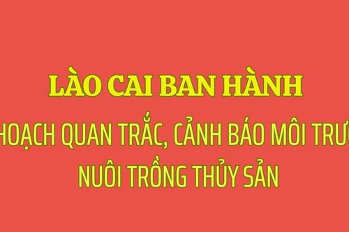 Lào Cai ban hành Kế hoạch quan trắc, cảnh báo môi trường nuôi trồng thủy sản năm 2026 và giai đoạn 2026 - 2030