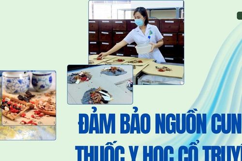 Đảm bảo nguồn cung thuốc y học cổ truyền