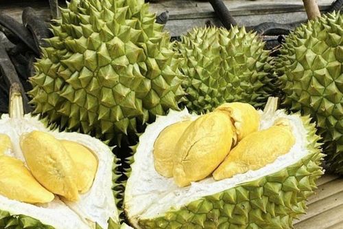 Giá sầu riêng hôm nay 23/3: Ri6 tăng lên 95.000 đồng/kg, sầu Thái VIP chạm mốc 165.000 đồng