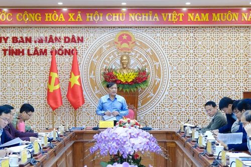 Lâm Đồng rà soát, tháo gỡ vướng mắc triển khai Quy hoạch điện VIII