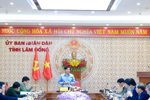 Lâm Đồng xem xét đề xuất đầu tư Tổ hợp nhiệt điện than - điện phân nhôm tại xã Vĩnh Hảo