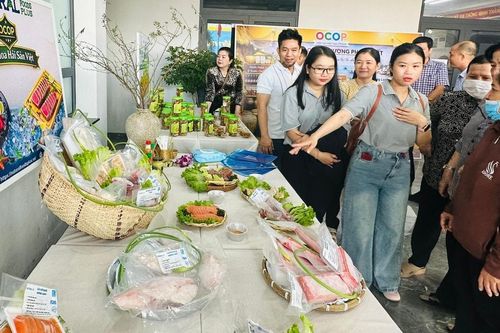 Từ ngày 26 - 29/3 diễn ra 'Tuần lễ người tiêu dùng phường Phan Thiết 2026'
