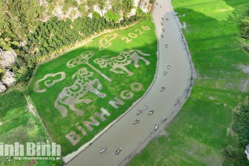 Cánh đồng nghệ thuật Tam Cốc 2026: Độc đáo tạo hình 'Song mã chầu báo công'
