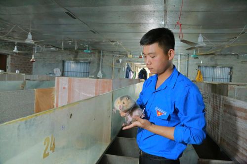 Khơi dậy khát vọng khởi nghiệp trong thanh niên