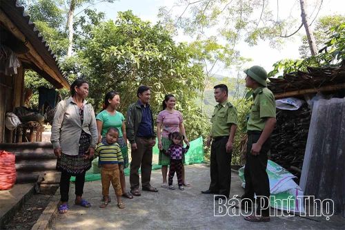 Miền xanh Thu Cúc