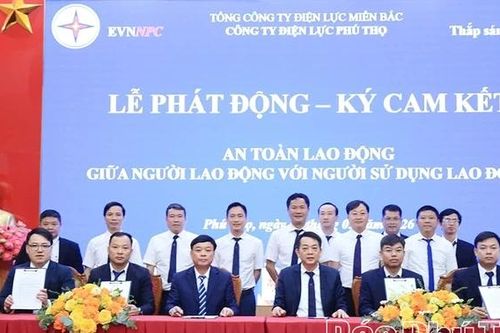 Điện lực Phú Thọ đối thoại với người lao động năm 2026