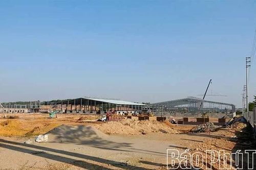 Sức sống mới Vạn Xuân