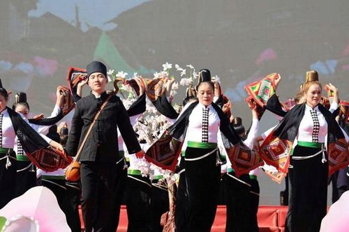 Sơn La phát triển văn hóa vùng đồng bào dân tộc thiểu số trong giai đoạn hiện nay