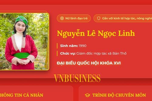 Nữ Giám đốc HTX xứ Thanh vừa trúng cử đại biểu Quốc hội là ai?