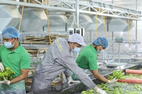 Bầu Đức liên tục 'gom' cổ phiếu HAG trước thềm ĐHĐCĐ