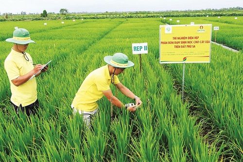 Thay 'chất' cho bảo hiểm nông nghiệp