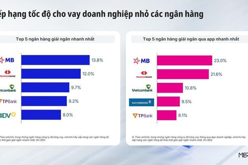 Mibrand: MB dẫn đầu về tốc độ giải ngân cho nhóm doanh nghiệp nhỏ
