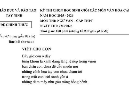 Đề thi học sinh giỏi Ngữ văn của Tây Ninh đánh thức trách nhiệm và lòng nhân ái trong thế giới đầy biến động