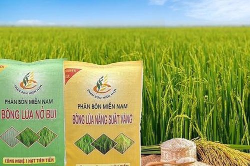 Phân bón Miền Nam (SFG): Đặt mục tiêu lãi sau thuế 2026 tăng trưởng, dự kiến trả cổ tức bằng tiền mặt tỷ lệ 5%