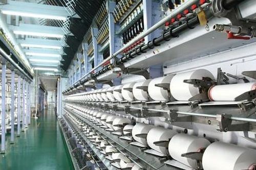 Sợi Thế Kỷ (STK): Cổ đông 4 năm 'đói' tiền mặt, cổ phiếu sụt giảm gần 17%