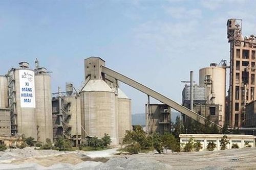 Vicem Hoàng Mai (HOM) lên kế hoạch doanh thu đi lùi, kỳ vọng lợi nhuận 2026 tăng trưởng 17%
