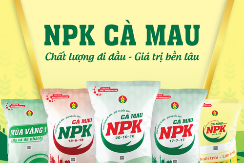 Đạm Cà Mau (DCM) đặt mục tiêu lãi sau thuế năm 2026 'đi lùi', dự chia cổ tức tỷ lệ 20%