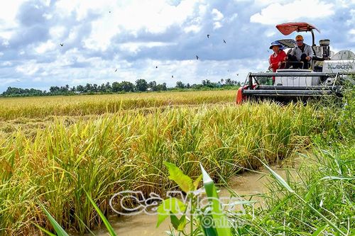 Xác lập vị thế nông - thủy sản trên trường quốc tế