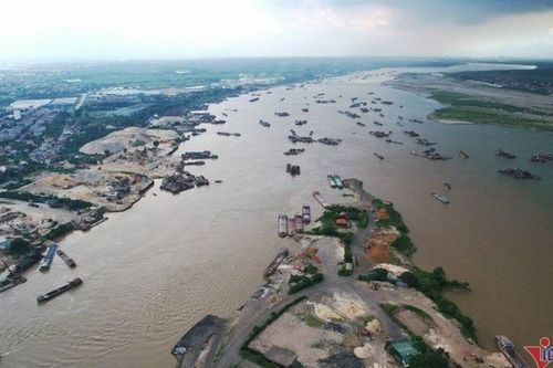 Bí ẩn loài cá khiến dân sành ăn phải săn lùng, giá từ vài triệu đến hàng chục triệu đồng