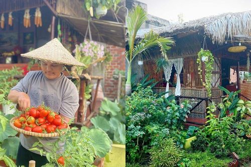 'Bỏ phố về quê', chàng trai 9X Vĩnh Long chi 100 triệu làm nhà vườn 600m2 đẹp mê trồng đủ thứ rau củ, có cả ao cá