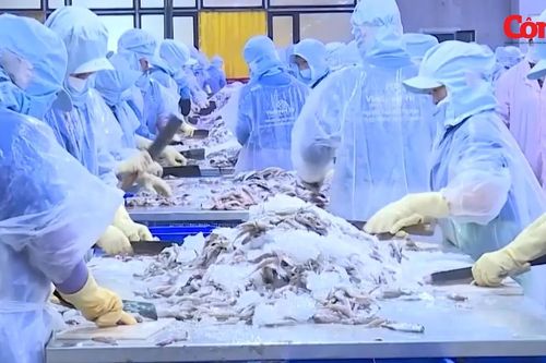 Xuất khẩu cá rô phi tăng mạnh trong 2 tháng đầu năm