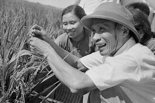 Thủ tướng Phạm Văn Đồng - cống hiến trọn đời cho sự nghiệp Cách mạng của Đảng và dân tộc: Bài 3: Người chèo lái con thuyền vượt qua bão giông