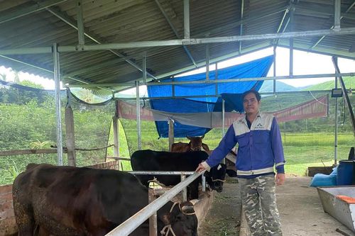 Quảng Ngãi: Những gương sáng giữa đại ngàn Trường Sơn