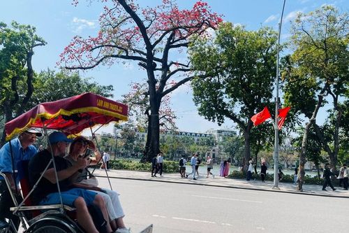 Khi AI 'lên lịch thay người': Thách thức không nhỏ cho tour truyền thống