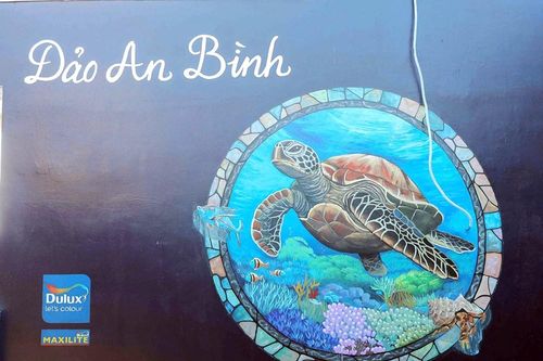 Bảo tồn hệ sinh thái biển tại đặc khu Lý Sơn