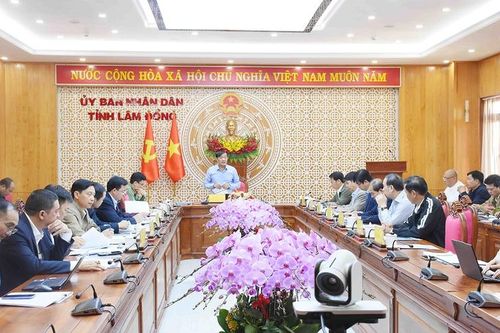 Khẩn trương tháo gỡ vướng mắc các dự án lưới điện truyền tải trọng điểm tại Lâm Đồng