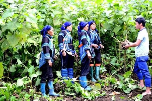Củng cố hệ thống chính trị vùng đồng bào dân tộc thiểu số