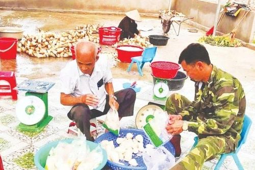 Điểm tựa thoát nghèo