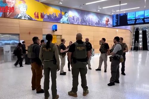 Nhà Trắng điều lực lượng ICE tới 14 sân bay sau vụ tai nạn ở New York
